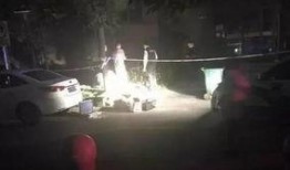 网友爆料坠楼视频大全最新,揭秘生死瞬间