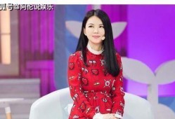 李湘最新爆料辟谣视频,揭秘真相背后的真相
