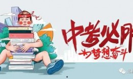 典藏龙令最新爆料消息,揭秘神秘宝藏背后的传奇故事