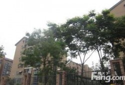 龙游龙湖湾小区最新爆料,揭秘神秘项目与周边发展动态